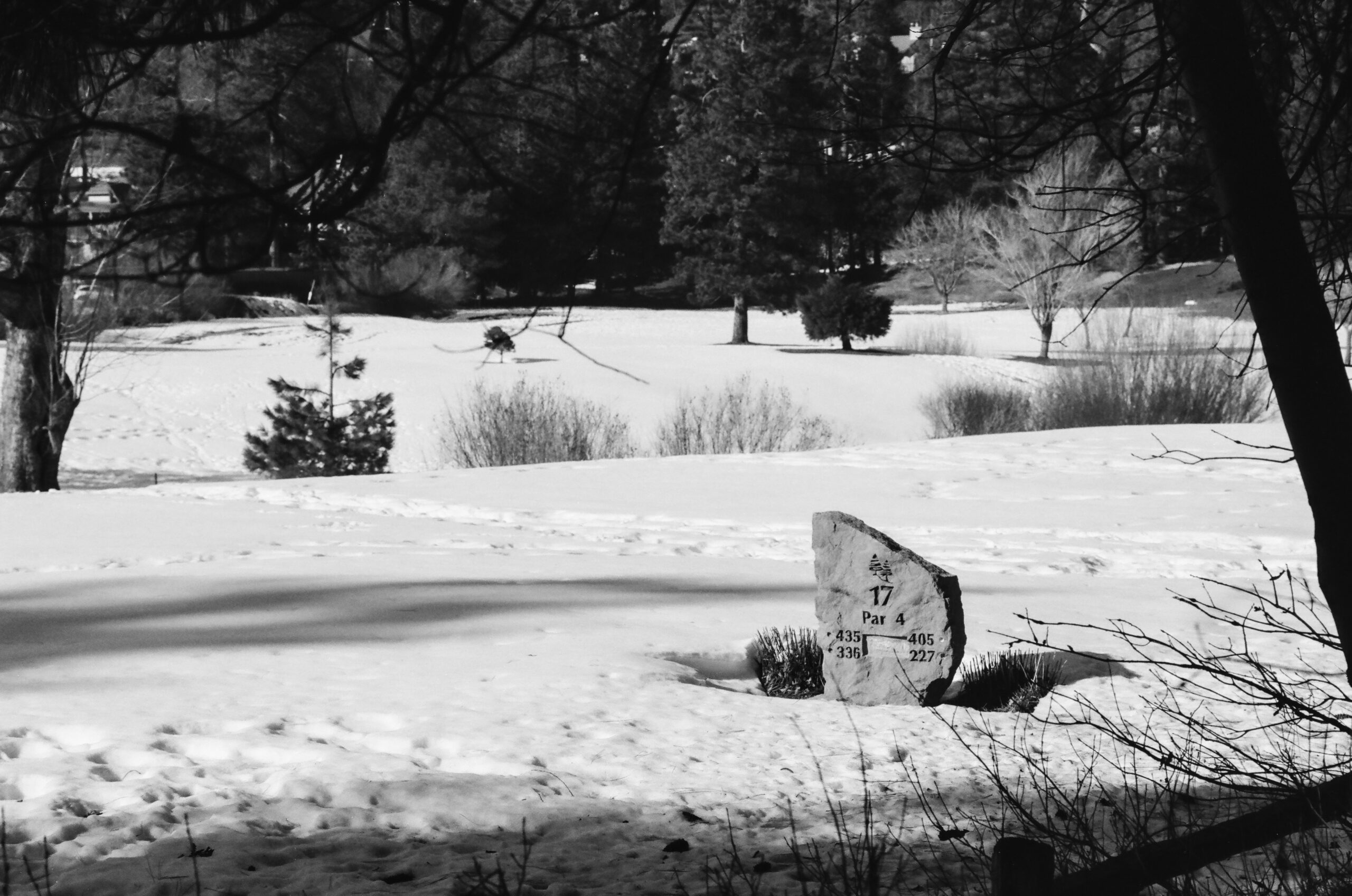 winter golf